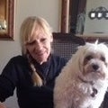 Karin Christa Christa Real Estate Agent at Alta Realty Group