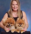 Leslie Conte Real Estate Agent at Intero Real Estate Services