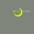 David Cruz Real Estate Agent at RealtyPro