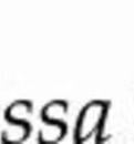 Vanessa Rizzo Real Estate Agent at Mcnamara Real Estate
