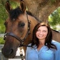 Sara Klaveren Real Estate Agent at Century 21 Everest - Simi Valley
