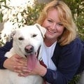 Jennifer Crabb Real Estate Agent at Re/Max Gold