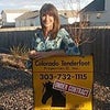 Elizabeth Sauter avatar