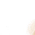 Gail Rutkowski Real Estate Agent at Century 21 Affiliated