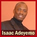 Isaac Adeyemo Real Estate Agent at The Virtual Realty Group
