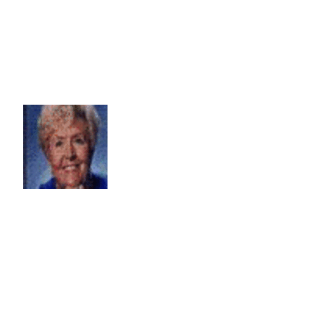 Phyllis James Real Estate Agent at Phyllis James & Associates Llc
