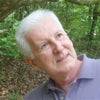 David Tester avatar