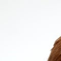 Judy Stone Real Estate Agent at