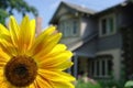 Jeannette Newhart Real Estate Agent at Newhart properties LLC