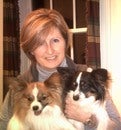 Kelly Arsenault Real Estate Agent at Keller Williams Realty-metropolitan