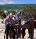 Alicia Morrison Real Estate Agent at United Country Double Star Realty