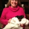 Cynthia Butterfield Real Estate Agent at Realty ONE Group