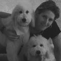 Sandy Margolin Real Estate Agent at Real Broker LLC
