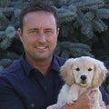 Bill Tate Real Estate Agent at Keller Williams Realty Fox Cities