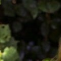 Kimberly Hawksworth Real Estate Agent at Addison Wolfe Real Estate