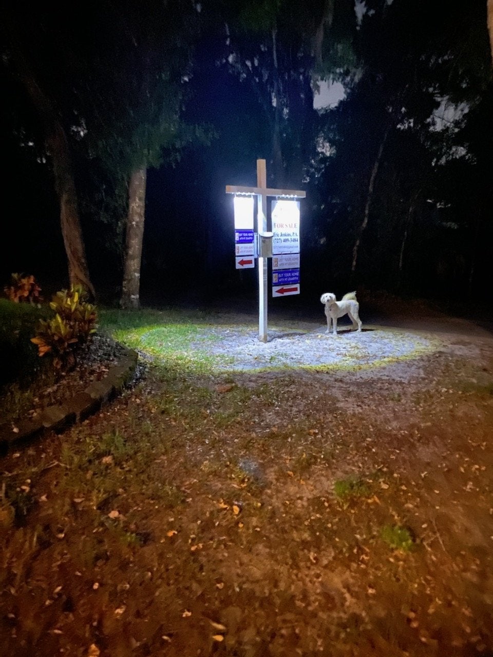 Eric Jenkins, P.A. avatar