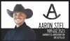 Aaron Stel avatar