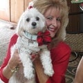Carolyn Wright Real Estate Agent at Keller Williams Great Lakes