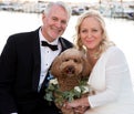 Daniel Jackson Real Estate Agent at MDM Naples Real Estate LLC