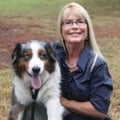 Cindy Moore Real Estate Agent at Premium Properties Real Estate Services