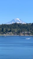 Red Sail Real Estate Agent at Mosaic Real Estate