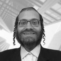 Arya Rabinovits Real Estate Agent at erealty Advisors INC