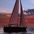 Aileen Kane Real Estate Agent at Waterfront In Florida, Inc.
