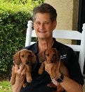 Tim Kelly King of Real Estate Real Estate Agent at Pullara Kelly Realty, Inc.