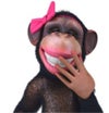 Alysse Musgrave avatar