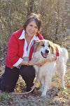 Denise Beck avatar