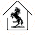 Mitra Karimi Real Estate Agent at Crestico Realty
