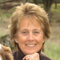 Jane Brown-darche Real Estate Agent at Orchard Realty